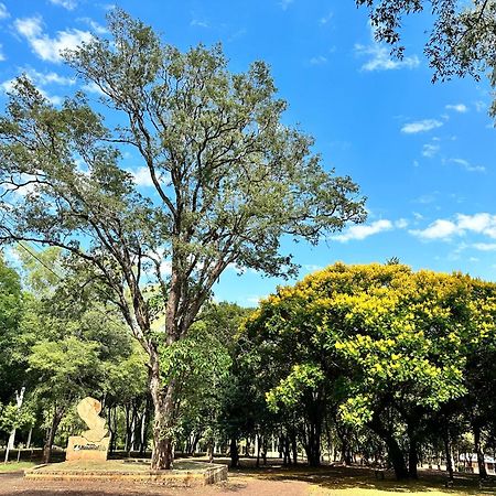 Parque Hotel Manantial Hohenau 外观 照片