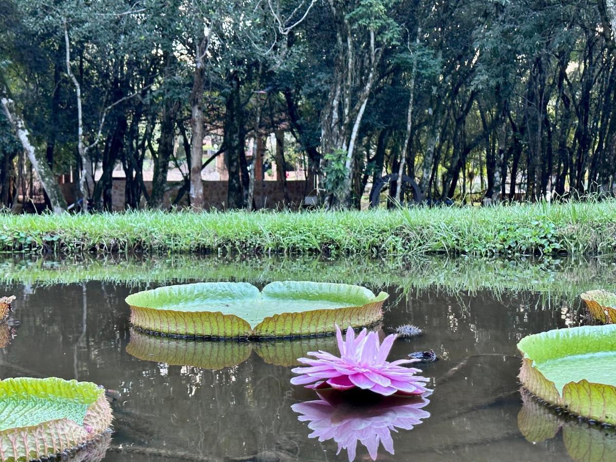 Parque Hotel Manantial Hohenau 外观 照片