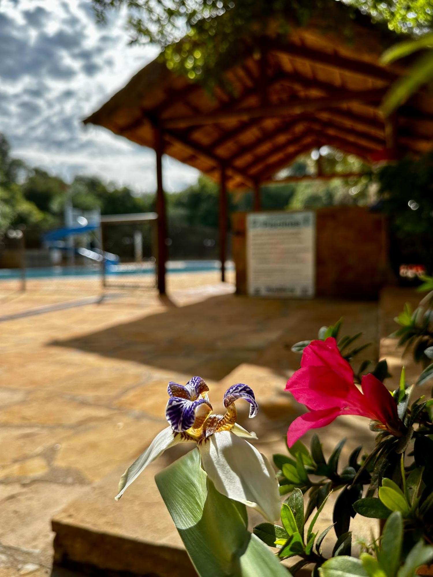 Parque Hotel Manantial Hohenau 外观 照片