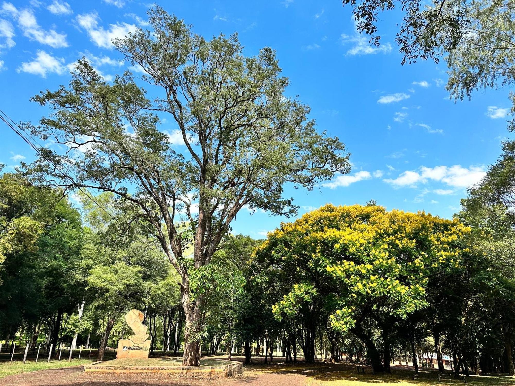 Parque Hotel Manantial Hohenau 外观 照片