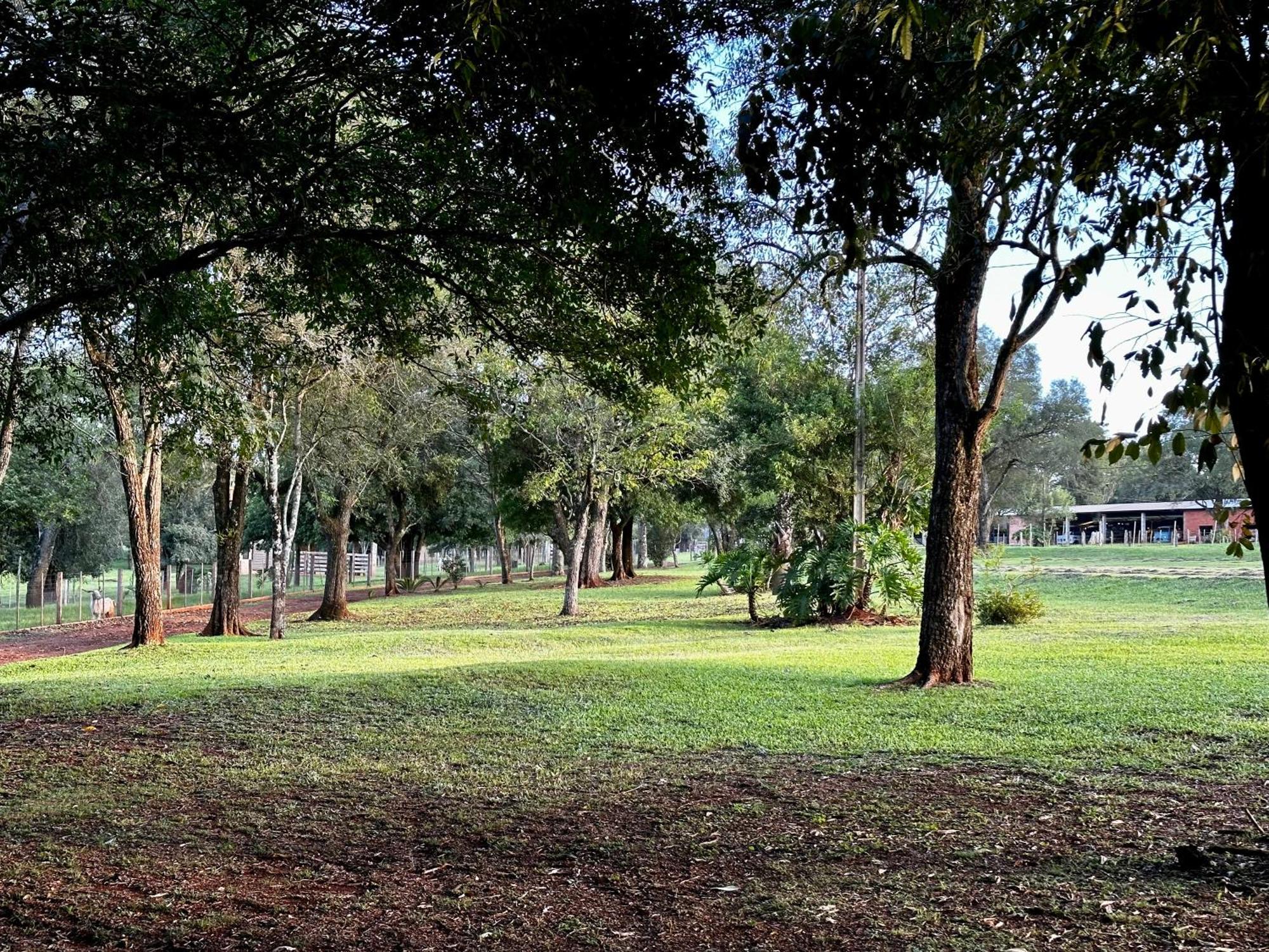Parque Hotel Manantial Hohenau 外观 照片