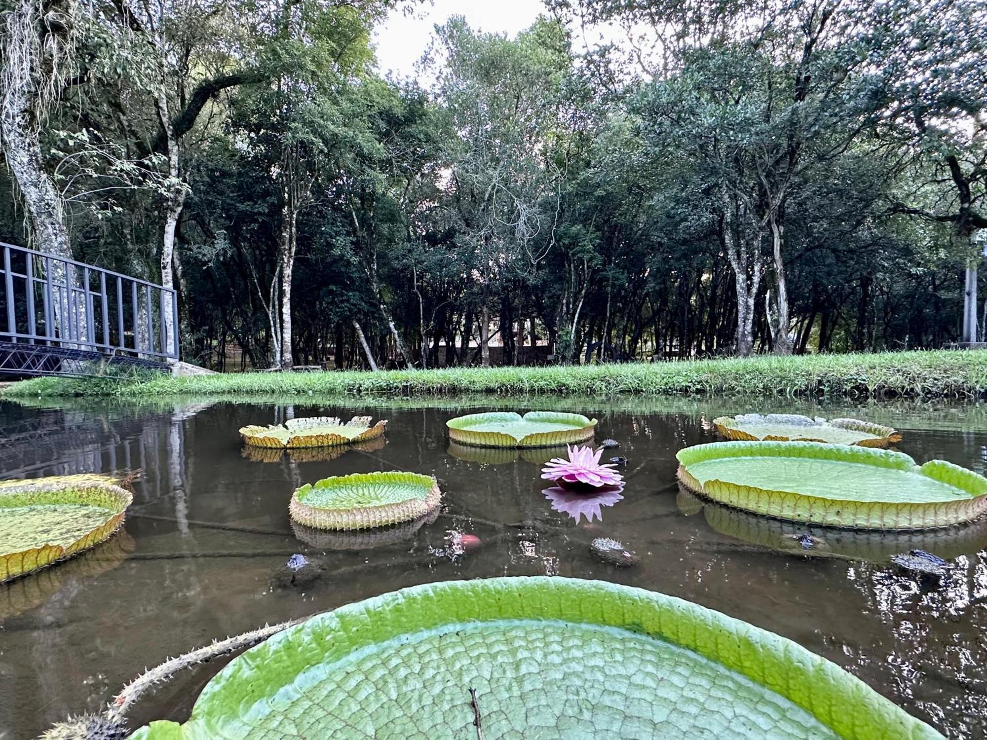 Parque Hotel Manantial Hohenau 外观 照片
